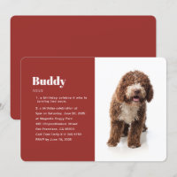 Modern Funny Pet Photo Birthday Invitation