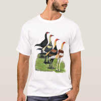 Modern Game Roosters
