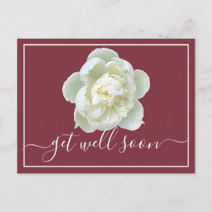 Modern Get Well Soon White Peony Botanical Floral  Postcard