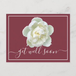Modern Get Well Soon White Peony Botanical Floral  Postcard