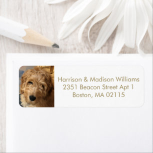 Modern gold custom photo image Return Address