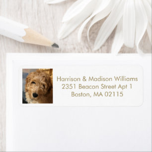 Modern gold white custom photo Return Address