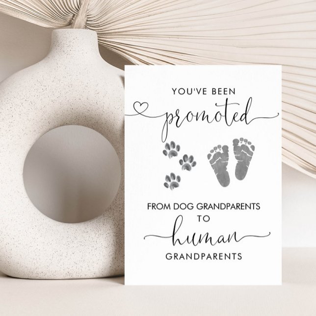 Modern Grandparents Pregnancy Announcement  (Creator Uploaded)