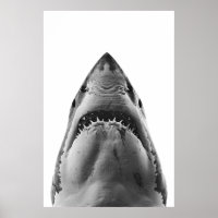 Modern Great White Shark Portrait 