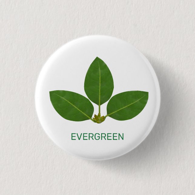 Modern Green Leaves on White 1 Inch Round Button (Front)