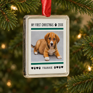 Modern Green Stripe Puppy First Christmas Photo Metal Ornament