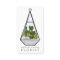 Modern green watercolor cactus terrarium florist
