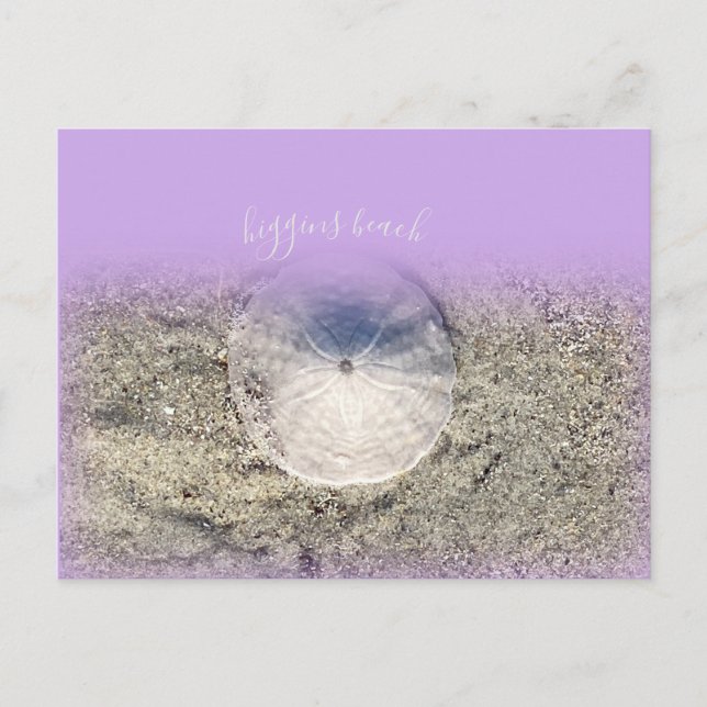 Modern Higgins Beach Maine Sand Dollar Purple Ombr Postcard (Front)