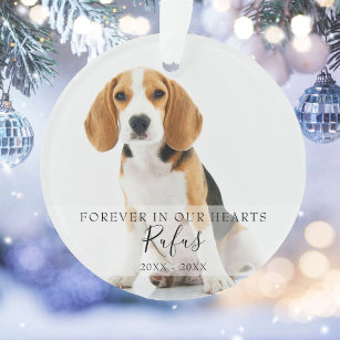 Modern Holiday Pet Photos First Christmas Ornament