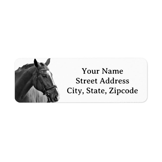 Modern Horse Black and White Equestrian (Front)