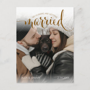 Modern Humans Getting Married Pet Photo Engagement Postcard