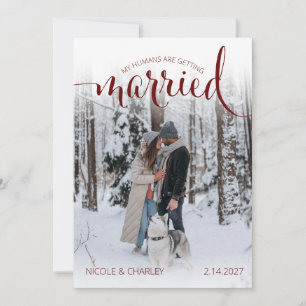 Modern Humans Getting Married Pet Photo Engagement Save The Date