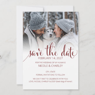 Modern Humans Getting Married Pet Photo Engagement Save The Date