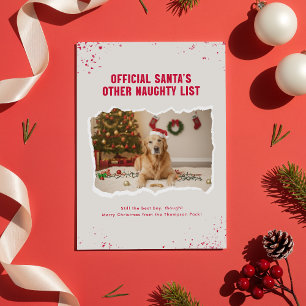 Modern Humor Funny Dog Photo Christmas Holiday Card