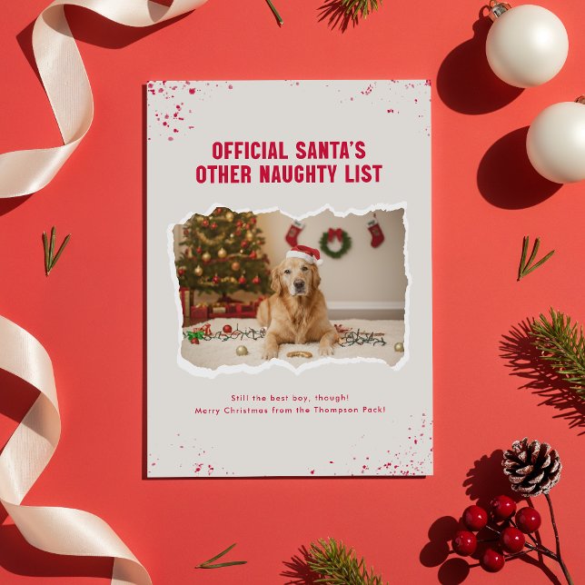 Modern Humor Funny Dog Photo Christmas Holiday Card (Creator Uploaded)