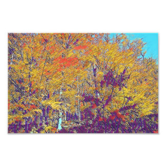 modern impressionist fall trees photo print
