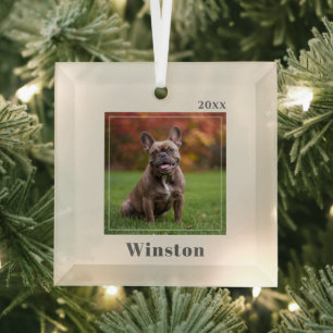 Modern Ivory Custom Pet Name Photo Glass Ornament