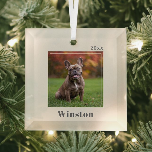 Modern Ivory Custom Pet Name Photo Glass Ornament (Insitu)