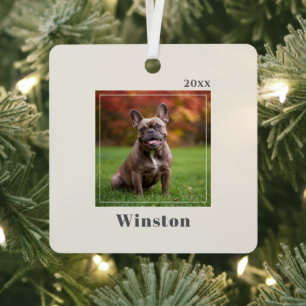 Modern Ivory Custom Pet Name Photo Metal Ornament