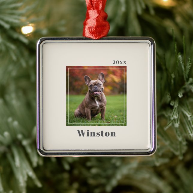 Modern Ivory Custom Pet Name Photo Metal Ornament (Tree)