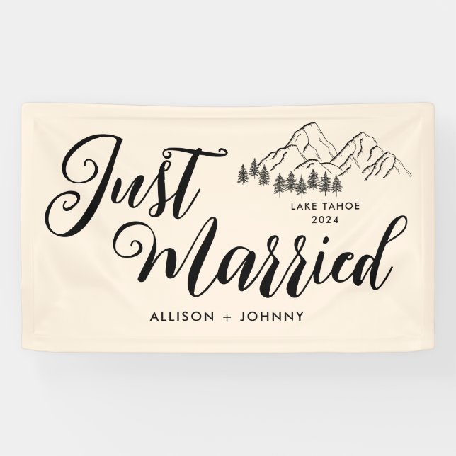 Modern Just Married Wedding Reception Rustic car Banner (Horizontal)