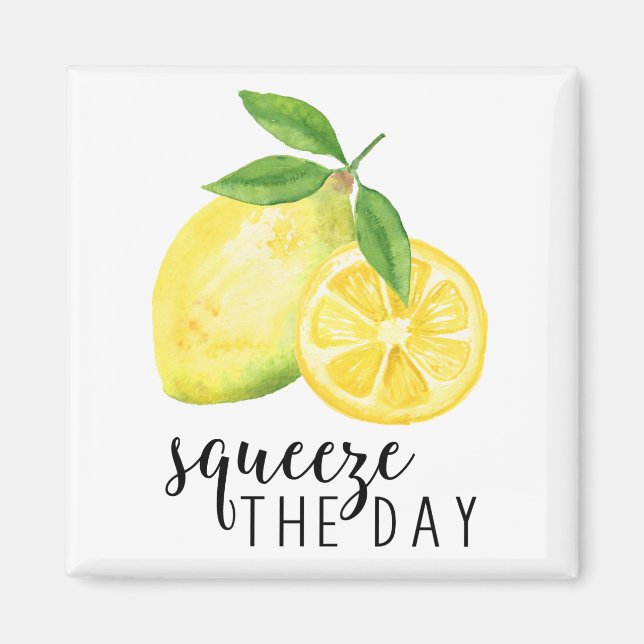 MODERN KITCHEN LEMON PUN MAGNET (Front)