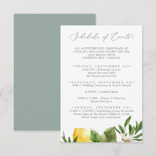 Modern Lemon Garden Wedding Schedule of Events Enclosure Card
