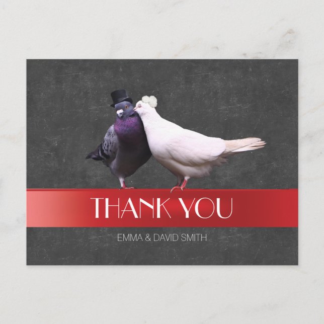 Modern Love Birds Red Ribbon Chalkboard Thank You Postcard (Front)