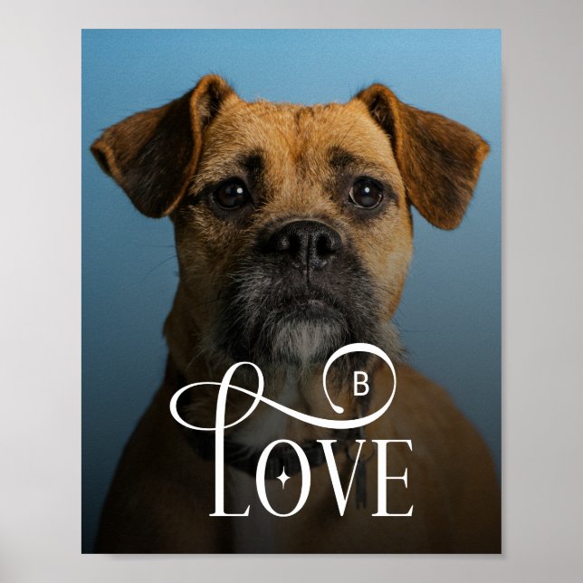 Modern Love Custom Boxer Dog Pets Photo Monogram Poster (Front)