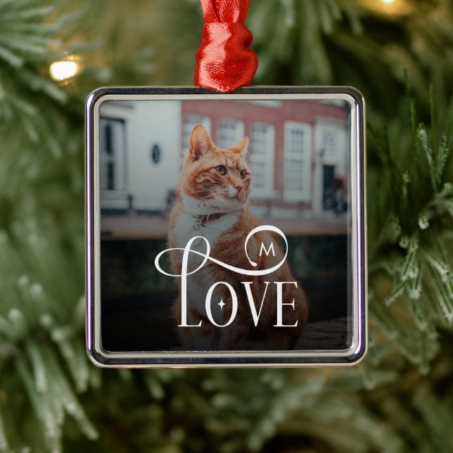 Modern Love Custom Cat Pets Photo Monogram Metal Ornament (Tree)