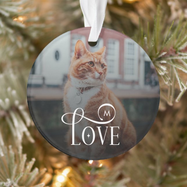 Modern Love Custom Cat Pets Photo Monogram Ornament (Tree)