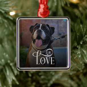 Modern Love Custom Dog Pets Photo Monogram Metal Ornament