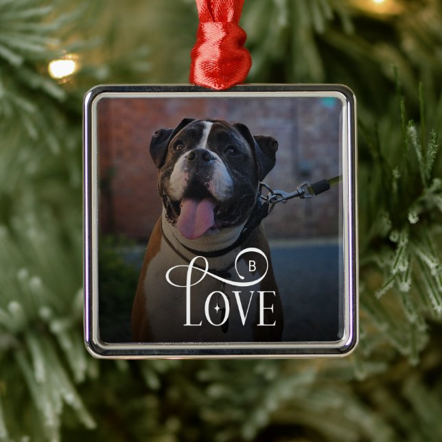 Modern Love Custom Dog Pets Photo Monogram Metal Ornament (Tree)