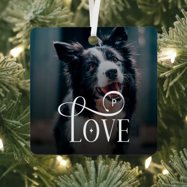 Modern Love Custom Dog Pets Photo Monogram Metal Ornament (Insitu)