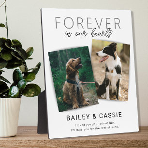 Modern Loving Memory Pet Memorial Plaque