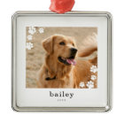 Modern Minimal Paw Prints Pet Dog Photo