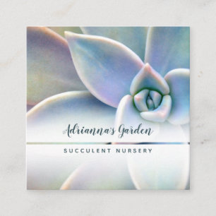 Modern Minimal Succulent Plant Nursery Photo Square Business Card