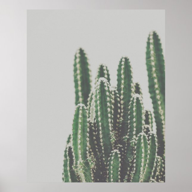 Modern Minimalist Green Cactus Photo Poster (Front)