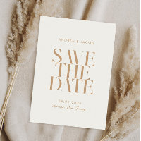Modern Minimalist Ivory Tan Chic Wedding