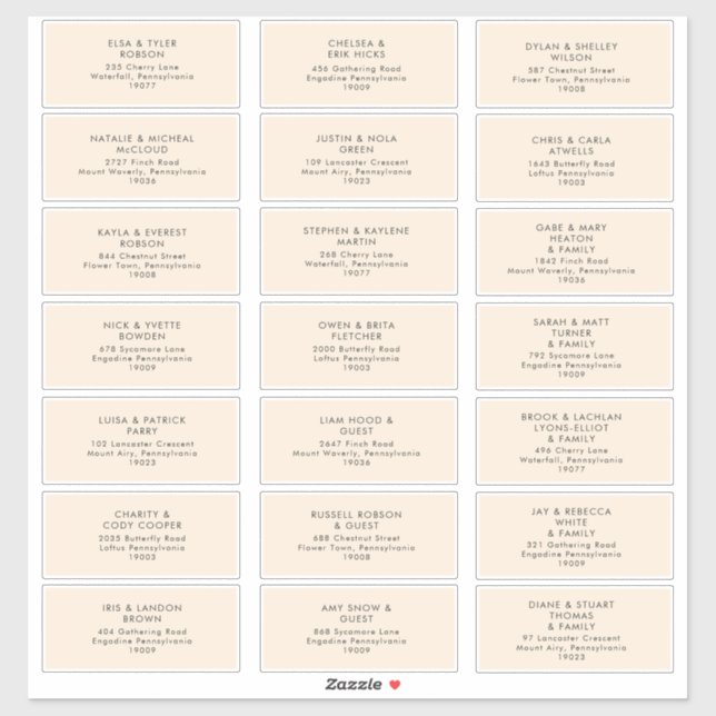 Modern Minimalist | Peach Guest Address Labels (Sheet)