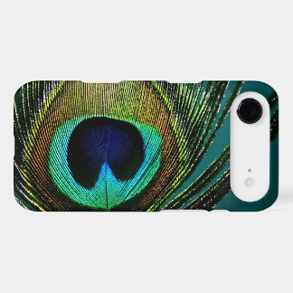 Modern Minimalist Peacock Feather Photo Fine Art
