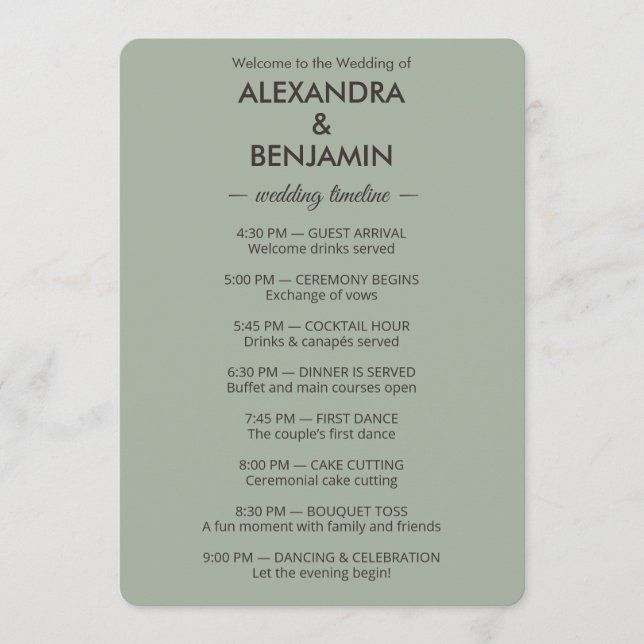 Modern Minimalist Wedding | Sage Green Timeless  Program (Front)