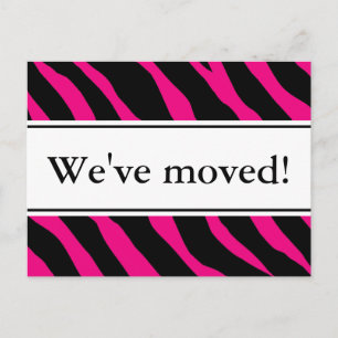 Modern moving postcards hot pink zebra stripes