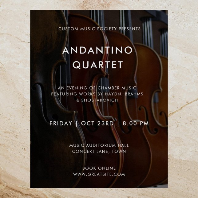 Modern Music Concert Photo Template Poster (Creator Uploaded)