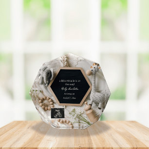 Modern Neutral boho pregnancy announcement Photo Block