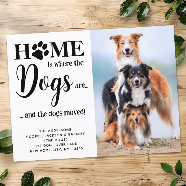 Modern New Address Custom Photo Dogs Pet Moving Announcement Postcard (Creator Uploaded)