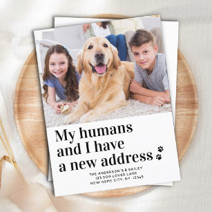 Modern New Address I Moved Pet Photo Dog Moving Postcard