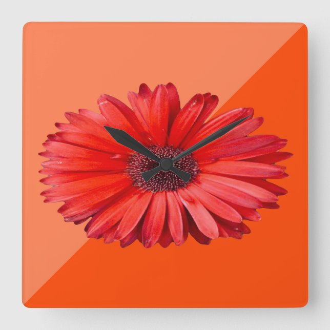 Modern Orange Daisy Botanica Square Wall Clock (Front)