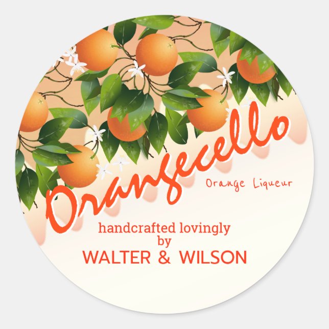 Modern Orangecello Orange Classic Round Sticker (Front)