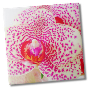 Modern Orchid Pink Flower Tile